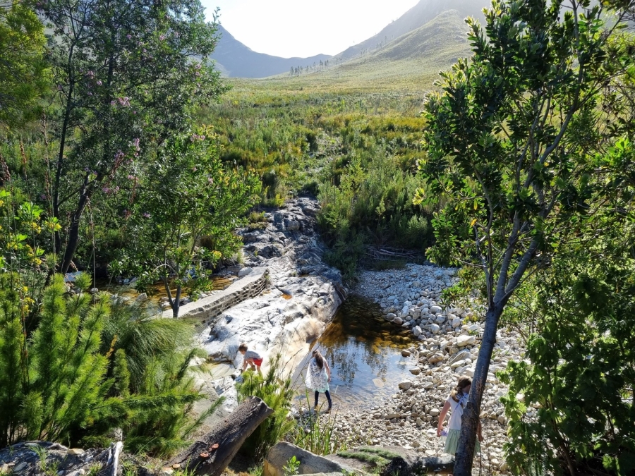 0 Bedroom Property for Sale in Joubertina Eastern Cape